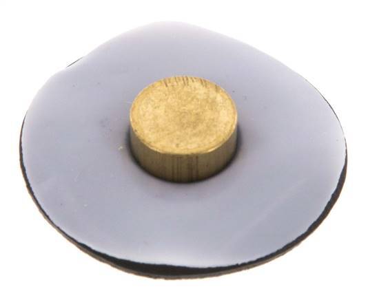 Membrane de remplacement PTFE/NBR 1/4''