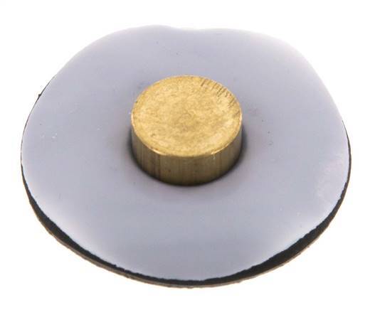 Membrane de remplacement PTFE/NBR 1/4''