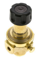 Pressure Regulator G1/4'' 490 l/min 0.5-8.0bar/7-116psi Brass Gases Liquids