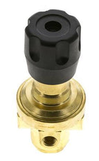Pressure Regulator G1/4'' 490 l/min 0.2-3.0bar/3-44psi Brass CO2