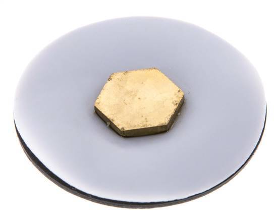 Membrane de remplacement PTFE/NBR 1/4''