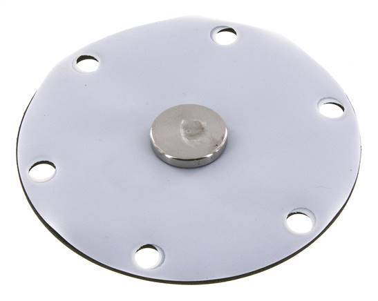 Membrane de remplacement PTFE/NBR 1''