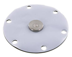 Membrane de remplacement PTFE/NBR 1''