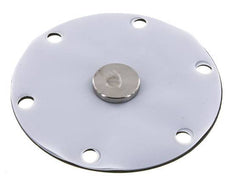 Membrane de remplacement PTFE/NBR 1''