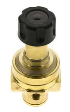 Pressure Regulator G1/4'' 490 l/min 3.0-50.0bar/44-725psi Brass