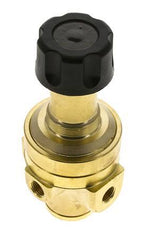 Régulateur de pression G1/4'' 490l/min 3.0-50.0bar/44-725psi