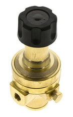 Pressure Regulator G1/4'' 490 l/min 3.0-50.0bar/44-725psi Brass