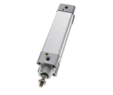 ISO 15552 Vérin Double Effet 32-110mm - Magnétique - Amortissement - Tige en Acier Inoxydable