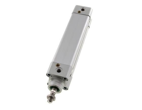 ISO 15552 Vérin Double Effet 32-125mm - Magnétique - Amortissement - Tige en Acier Inoxydable