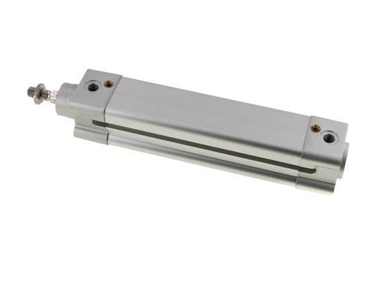 ISO 15552 Vérin Double Effet 32-125mm - Magnétique - Amortissement - Tige en Acier Inoxydable