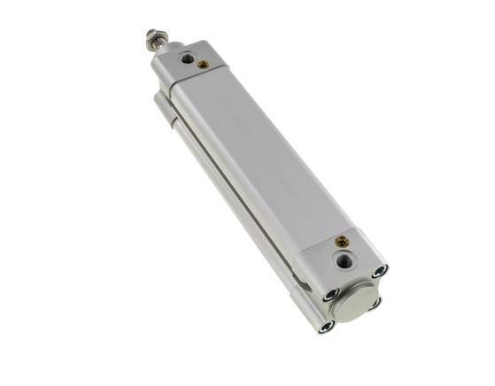 ISO 15552 Vérin Double Effet 32-125mm - Magnétique - Amortissement - Tige en Acier Inoxydable