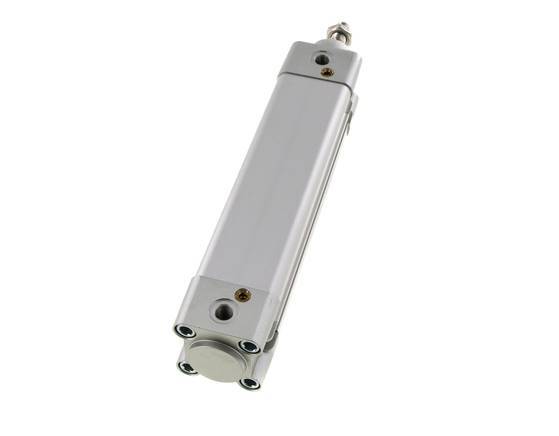 ISO 15552 Vérin Double Effet 32-125mm - Magnétique - Amortissement - Tige en Acier Inoxydable