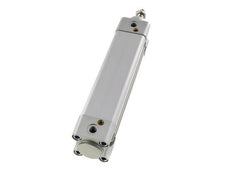 ISO 15552 Vérin Double Effet 32-125mm - Magnétique - Amortissement - Tige en Acier Inoxydable