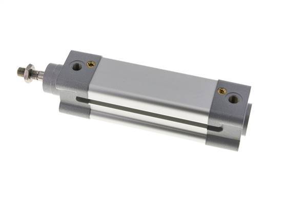 ISO 15552 Vérin Double Effet 32-75mm - Magnétique - Amortissement - Tige en Acier Inoxydable