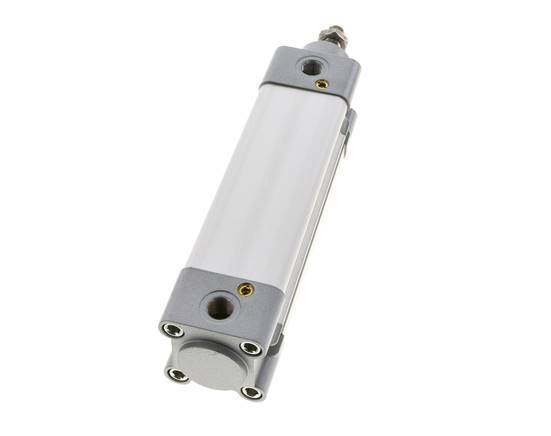 ISO 15552 Vérin Double Effet 40-100mm - Magnétique - Amortissement - Tige en Acier Inoxydable