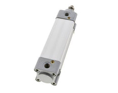 ISO 15552 Vérin Double Effet 40-100mm - Magnétique - Amortissement - Tige en Acier Inoxydable