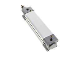 ISO 15552 Vérin Double Effet 40-125mm - Magnétique - Amortissement - Tige en Acier Inoxydable