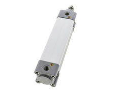 ISO 15552 Vérin Double Effet 40-125mm - Magnétique - Amortissement - Tige en Acier Inoxydable