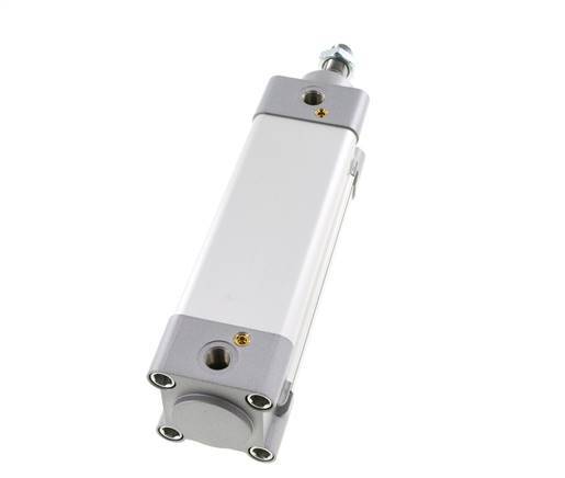 ISO 15552 Vérin à Double Effet 50-110mm - Magnétique - Amortissement