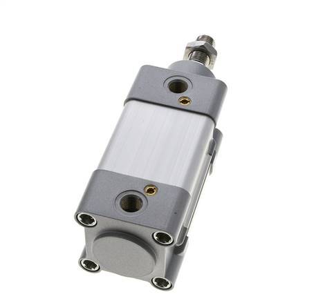 ISO 15552 Vérin Double Effet 50-25mm - Magnétique - Amortissement - Tige en Acier Inoxydable
