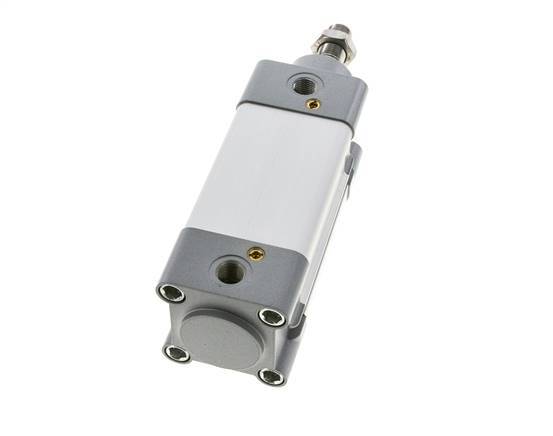 ISO 15552 Vérin Double Effet 50-50mm - Magnétique - Amortissement - Tige en Acier Inoxydable