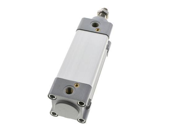 ISO 15552 Vérin Double Effet 50-80mm - Magnétique - Amortissement - Tige en Acier Inoxydable