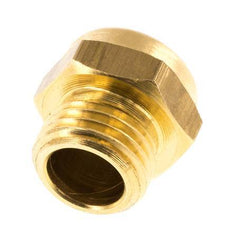 Silencieux Pneumatique Compact en Laiton G1/4'' 1.4301 Maille Métallique [5 Pièces]