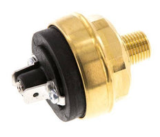 0.Pressostat en laiton NO 2 à 2bar Connecteur plat M10 42VAC/DC