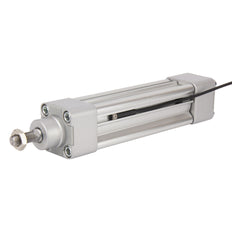 Capteur de position Reed PNP 3m 10-30V DC - RCI