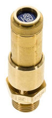 G 1/2'' Brass Pre-Set Safety Valve 0.2 bar (2.9 psi) DN 10