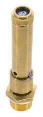 G 3/4'' Brass Pre-Set Safety Valve 41.5 bar (601.92 psi) DN 10