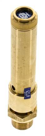 G 1/2'' Brass Pre-Set Safety Valve 47.5 bar (688.94 psi) DN 10