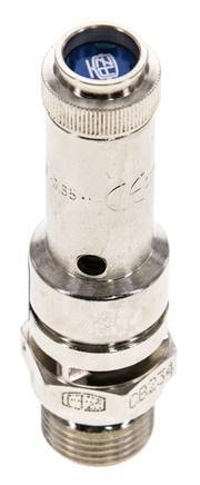 G 3/8'' Nickel-plated Brass Pre-Set Safety Valve 2.8 bar (40.61 psi) DN 8