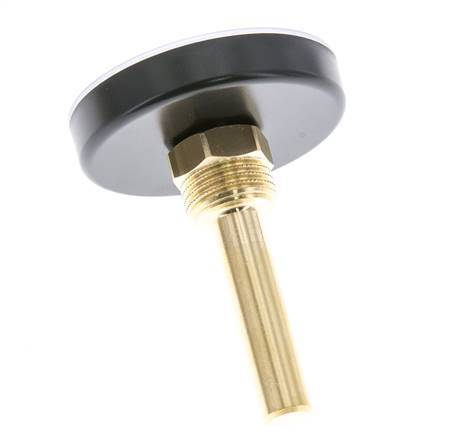0 to +60°C Plastic Bimetallic Thermometer 63mm Cabinet 60mm Stem with Thermowell
