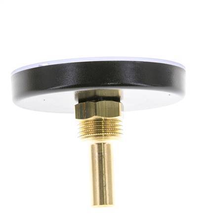 0 to +60°C Plastic Bimetallic Thermometer 80mm Cabinet 40mm Stem with Thermowell