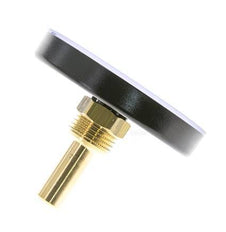 0 to +60°C Plastic Bimetallic Thermometer 80mm Cabinet 40mm Stem with Thermowell