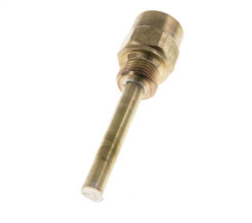 Doigt de gant en alliage de cuivre G 1/2 pouce pour tige de 100mm Max 160°C et 6 barres