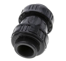 Clapet Anti-Retour En PVC Rp 1'' 0.012-16 bar