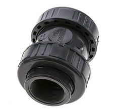 Clapet Anti-Retour En PVC Rp 1 1/2'' 0.012-16 bar