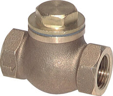 G 2'' Cuivre Rouge Clapet Anti-Retour À Piston 20 Bar (290 Psi) Haute Résistance