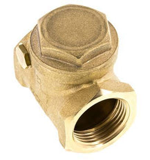 G 1'' Brass Swing Check Valve 12 bar (174 psi) NBR Soft Seal
