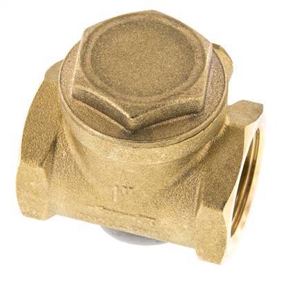 G 1'' Brass Swing Check Valve 12 bar (174 psi) NBR Soft Seal