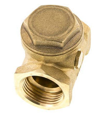 G 1'' Brass Swing Check Valve 12 bar (174 psi) NBR Soft Seal