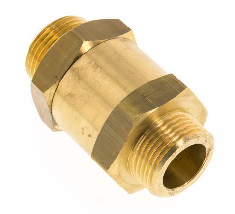 G 1'' Filetage Mâle Laiton Clapet Anti Retour 0.1-40 Bar (1.45-580 Psi)