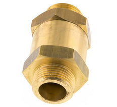 G 1'' Filetage Mâle Laiton Clapet Anti Retour 0.1-40 Bar (1.45-580 Psi)