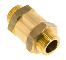 G 1'' Filetage Mâle Laiton Clapet Anti Retour 0.1-40 Bar (1.45-580 Psi)