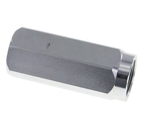 G 1'' Clapet Anti Retour Hydraulique Acier 0.4-350 Bar (5.8-5075 Psi)