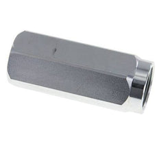 G 1'' Clapet Anti Retour Hydraulique Acier 0.4-350 Bar (5.8-5075 Psi)