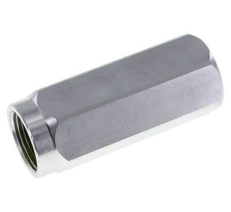 G 1'' Clapet Anti Retour Hydraulique Acier 1-350 Bar (14.5-5075 Psi)