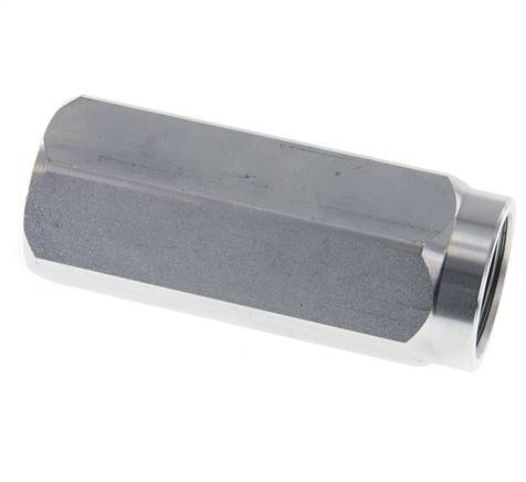 G 1'' Clapet Anti Retour Hydraulique Acier 3-350 Bar (43.5-5075 Psi)
